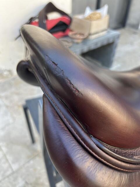 Selle CWD