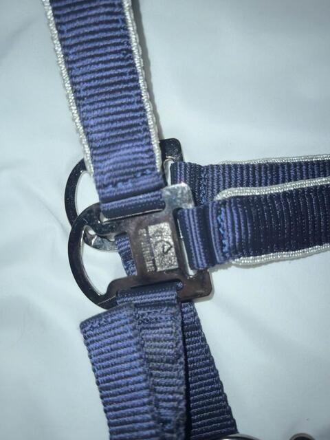 Licol EQUITHÈME Light marine