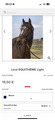 Licol EQUITHÈME Light marine