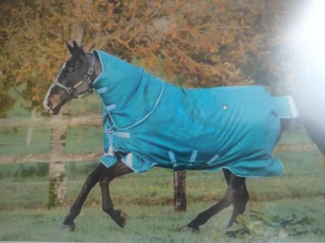 Amigo Bravo 12 Plus Turnout Heavy 400g Storm neuve jamais portée