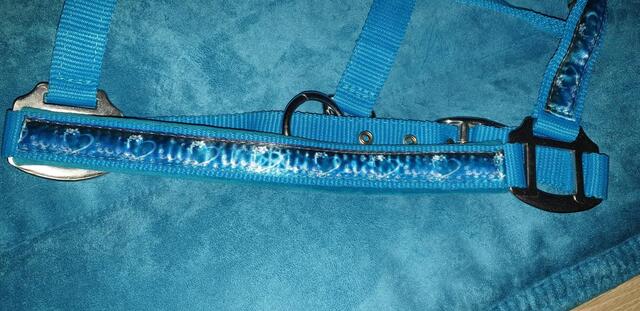 Ensemble poney tapis et licol