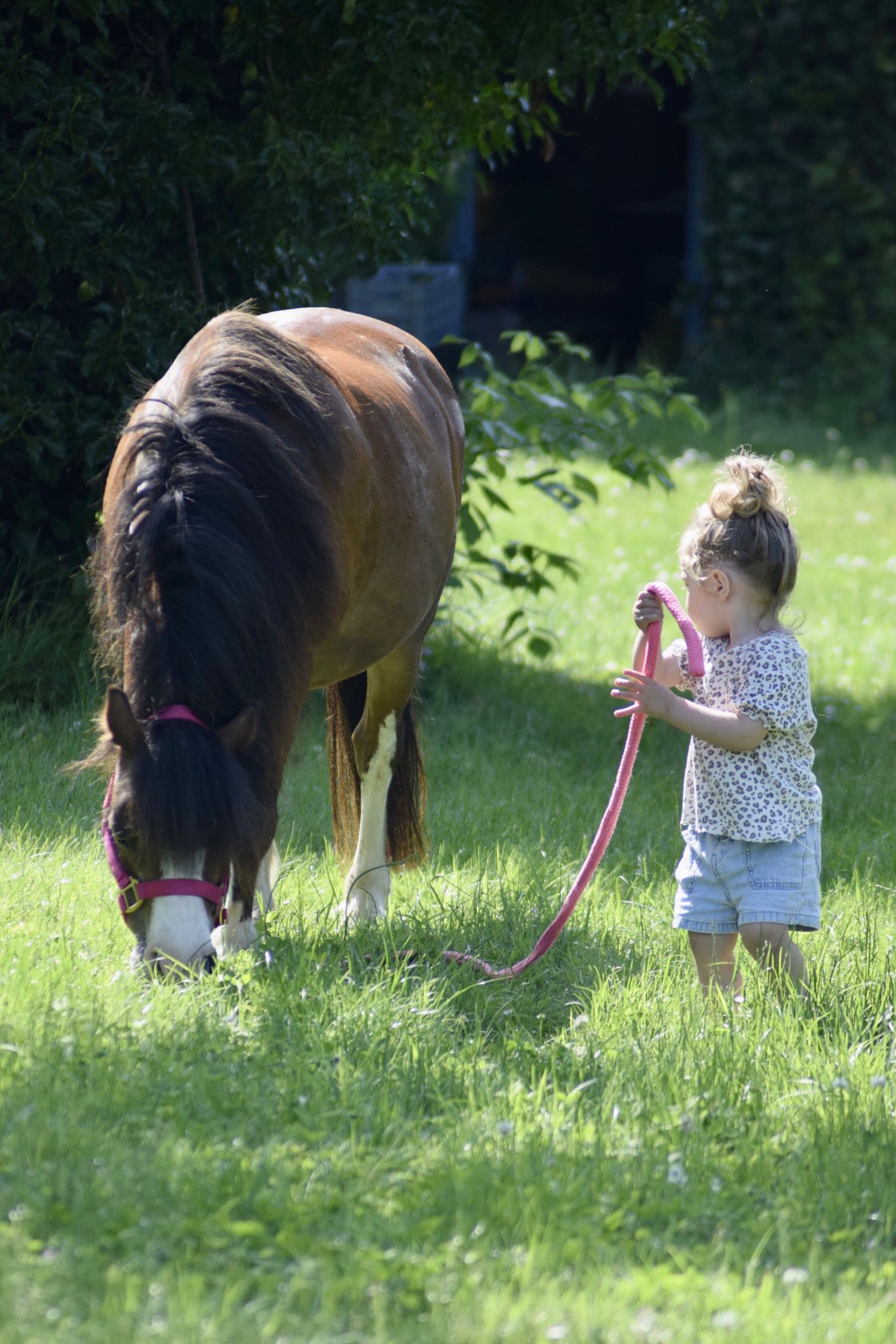 enfant poney
