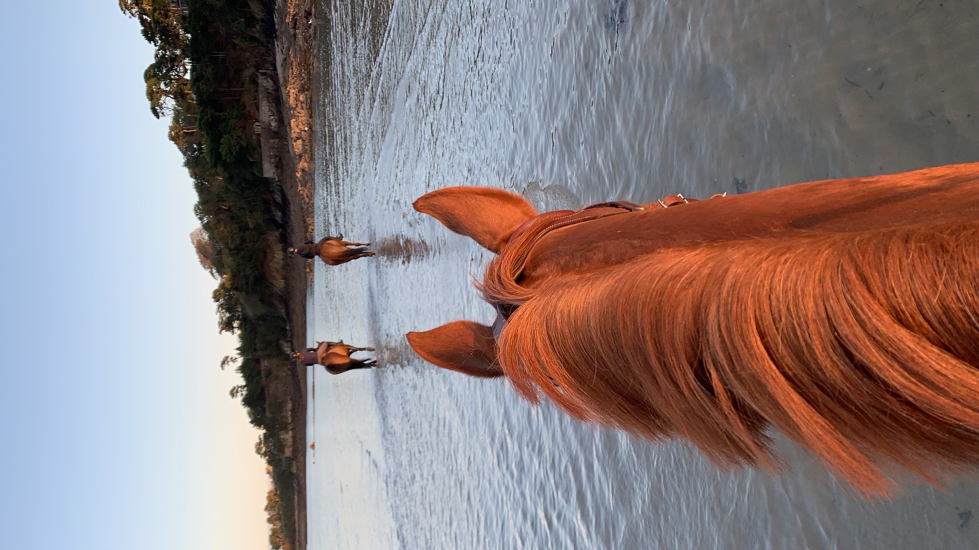cheval plage