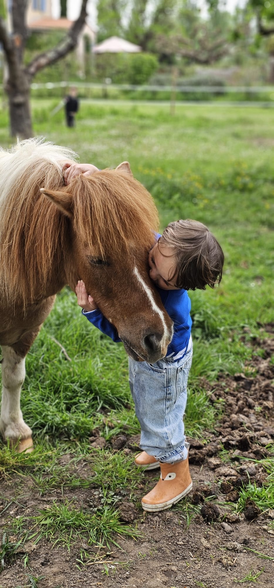 enfant et poney