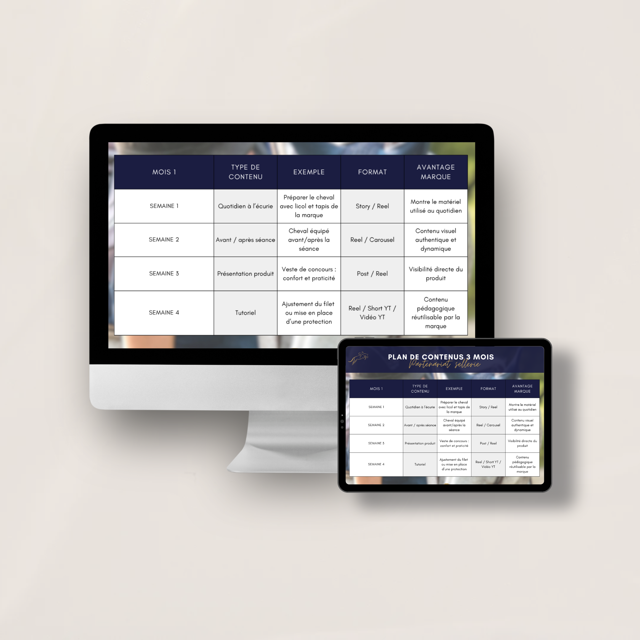 plan de contenu équestres