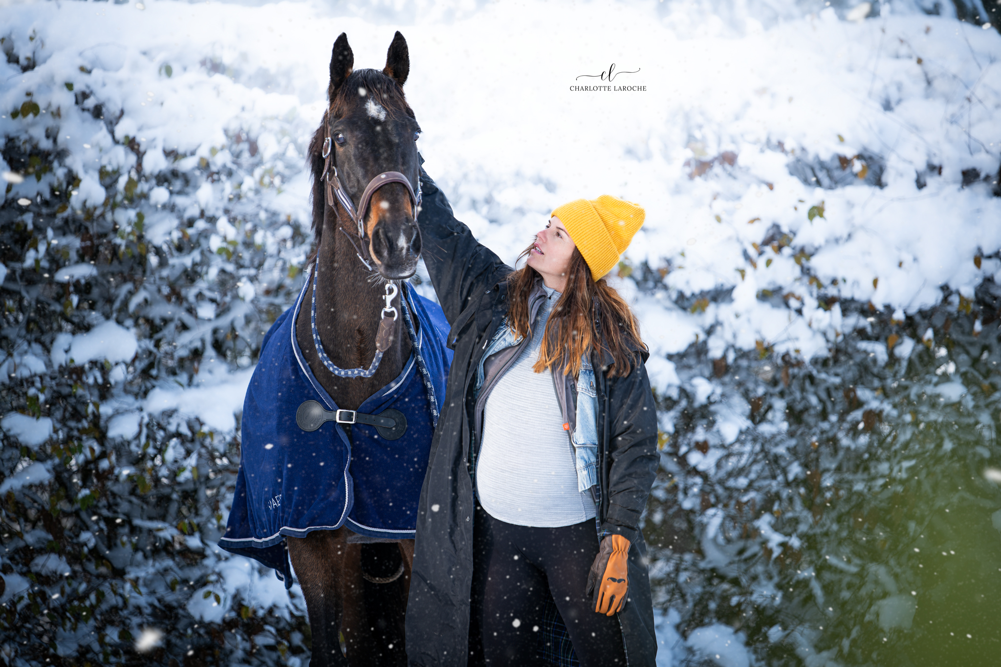 cheval neige