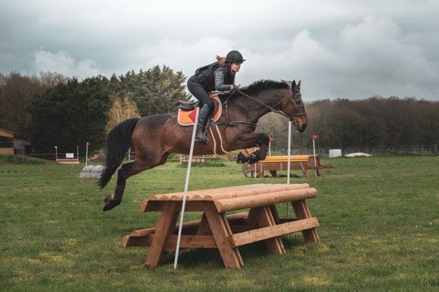 cheval réformé concours complet