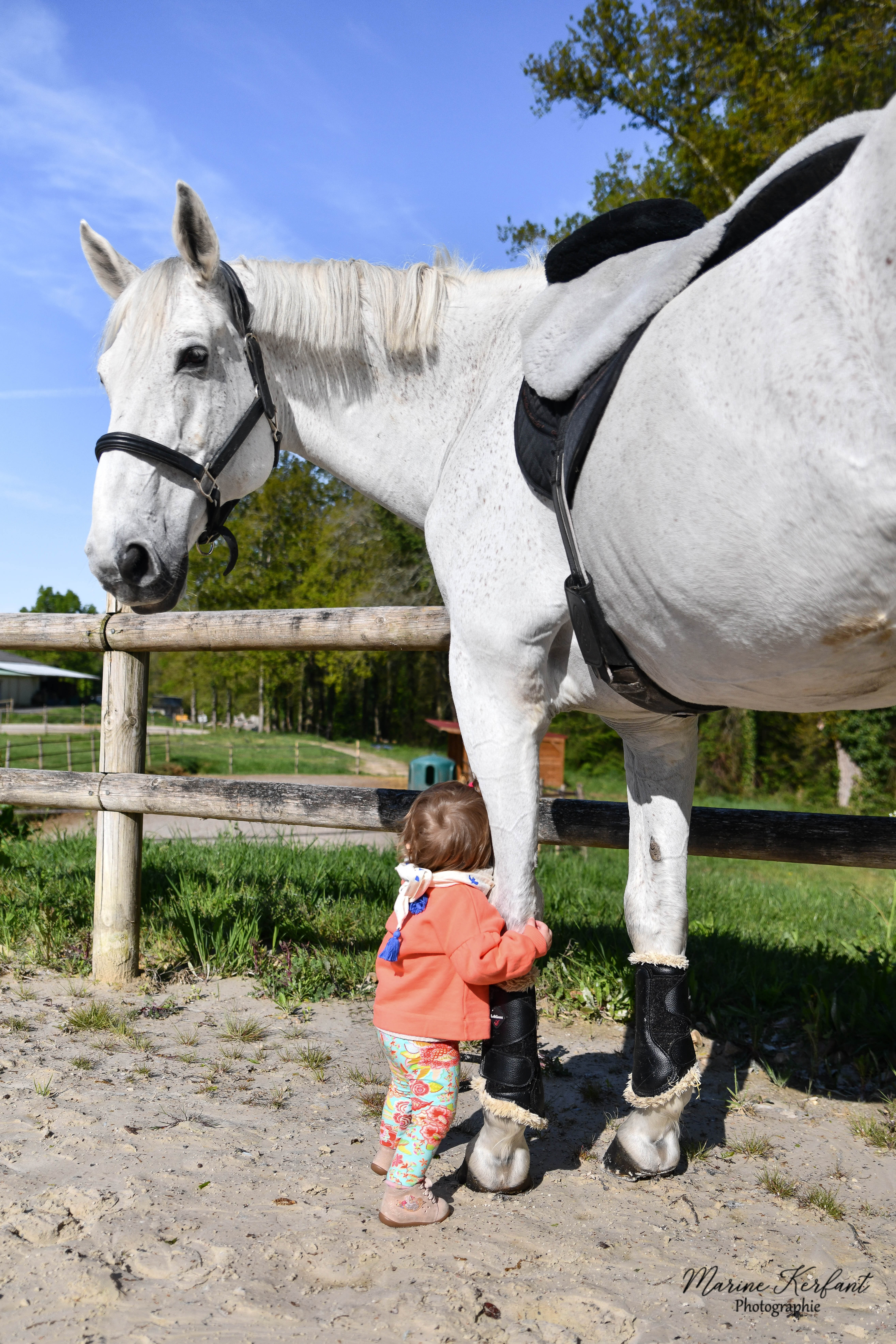 enfant et cheval