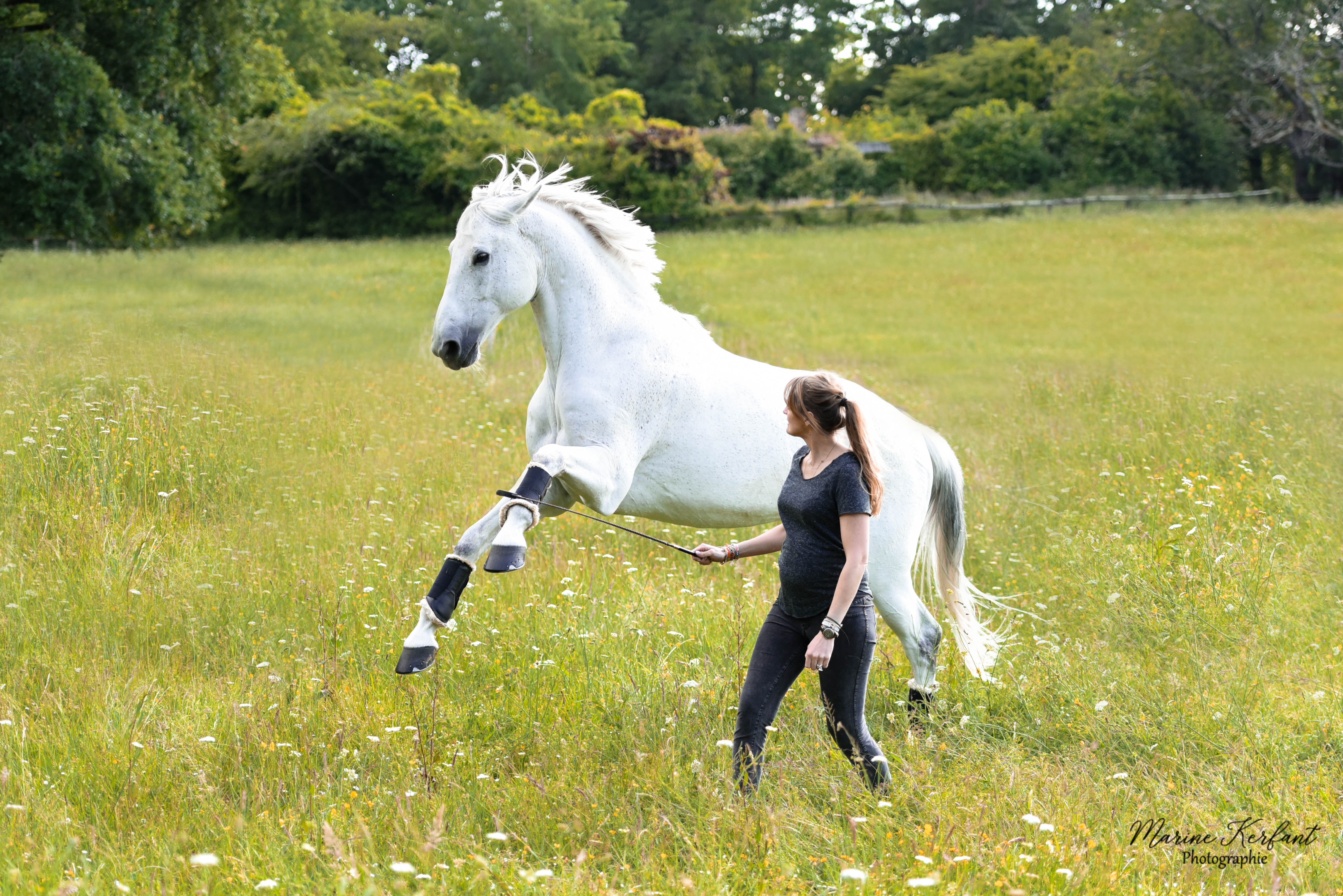 equitation enceinte