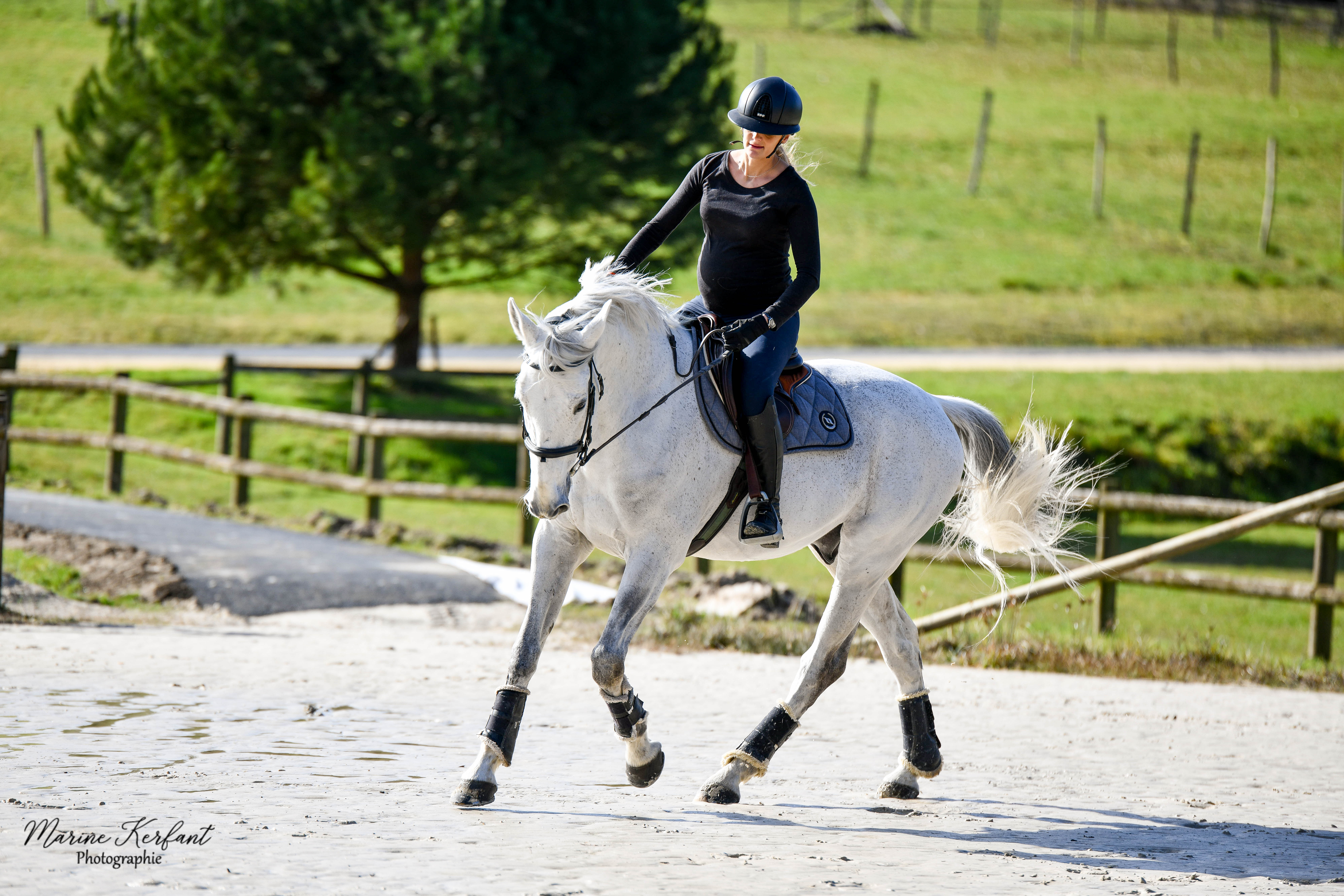 grossesse equitation