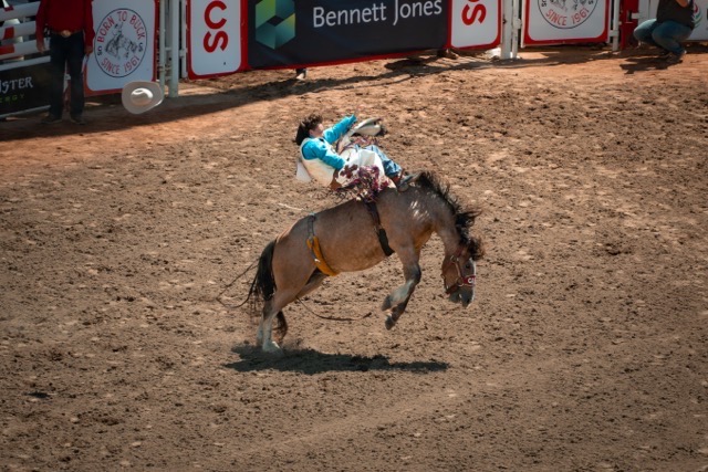 rodeo