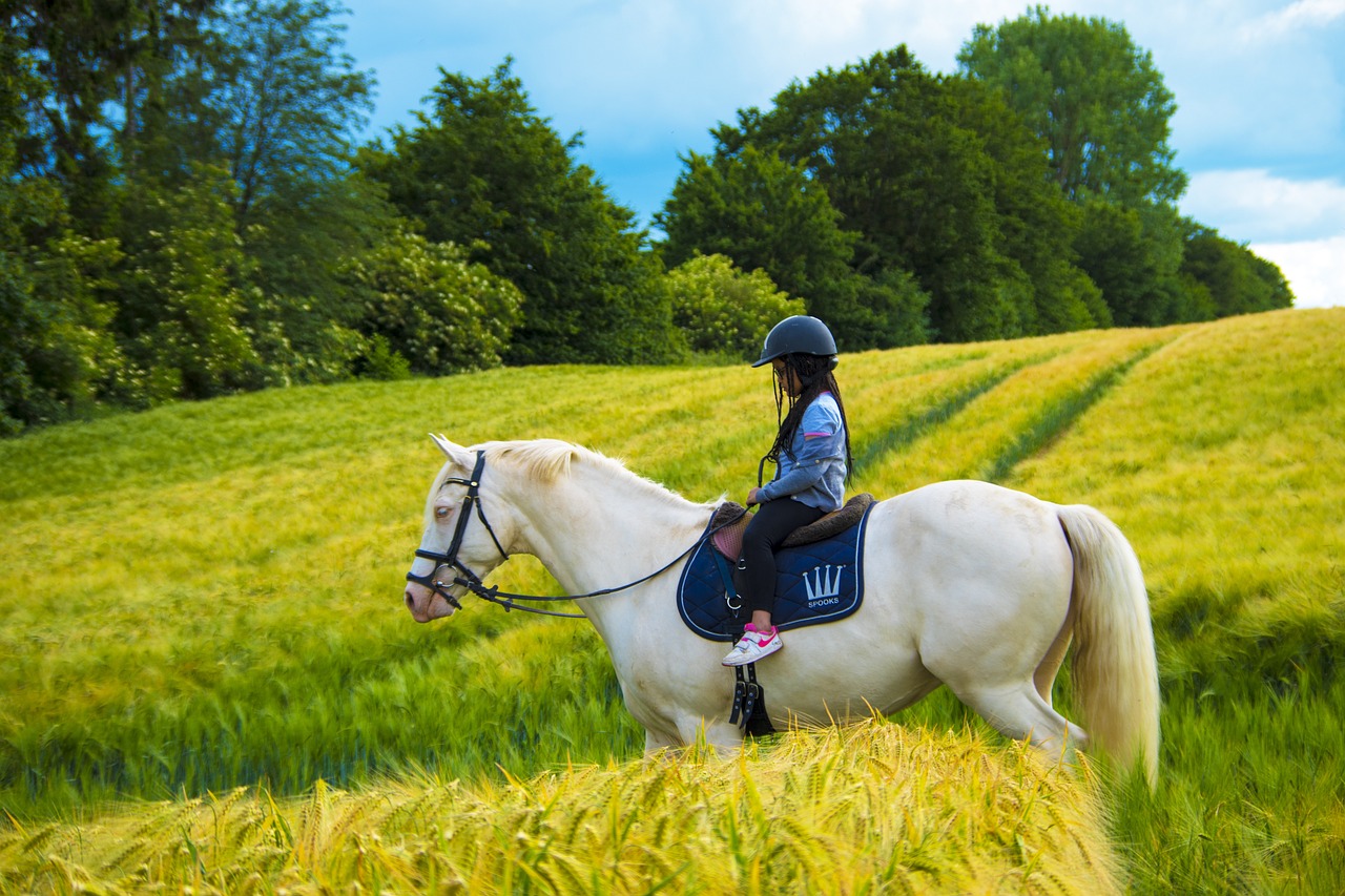 balade cheval