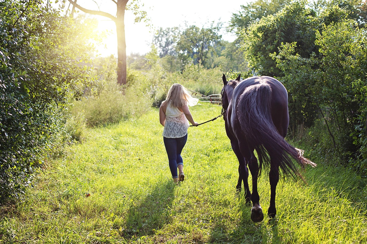 balade à pieds cheval