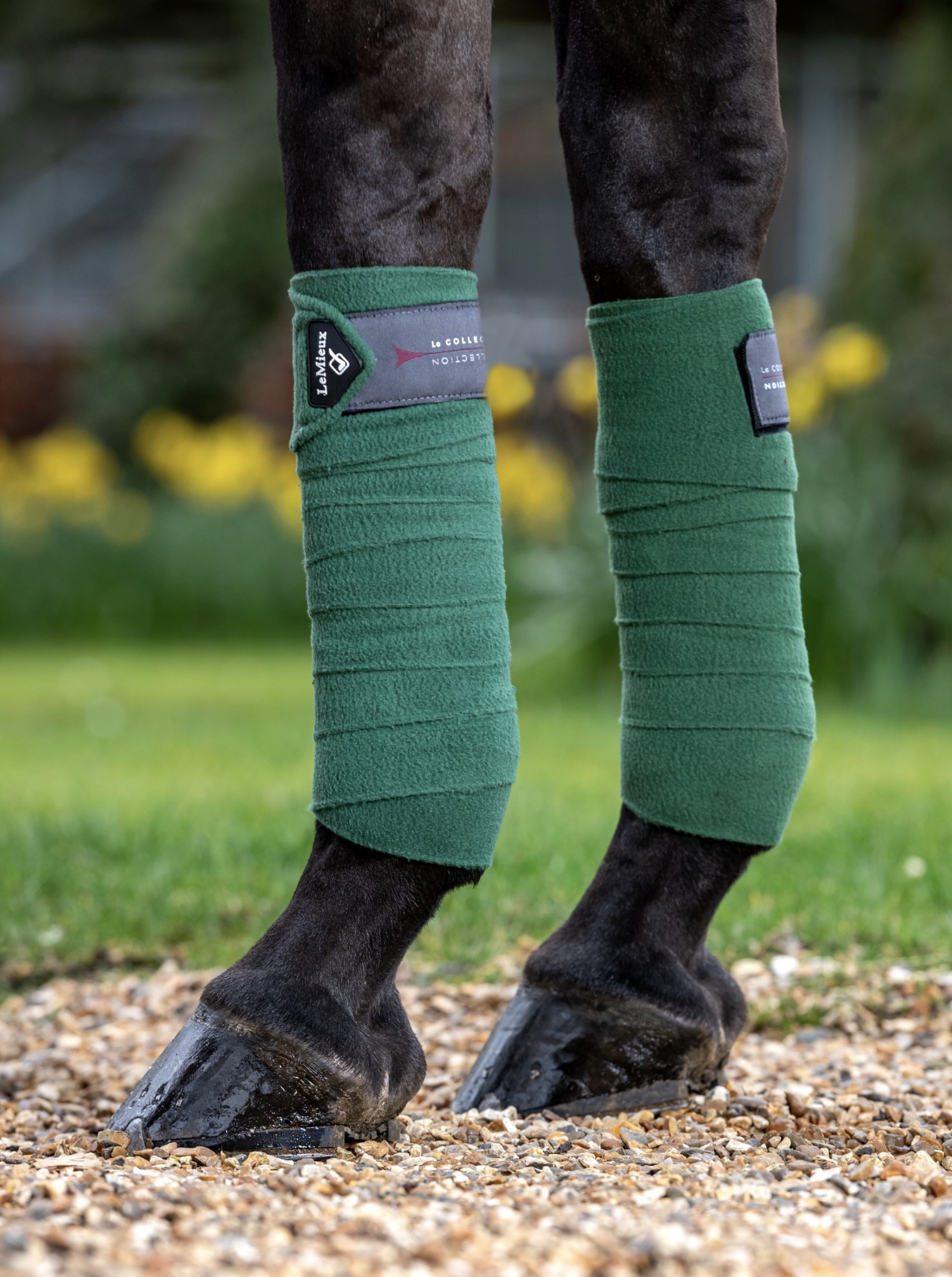 bandes de polo vertes