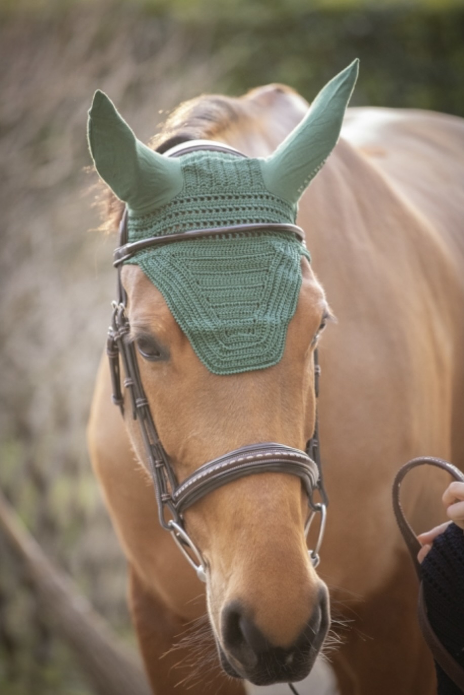 bonnet vert cheval
