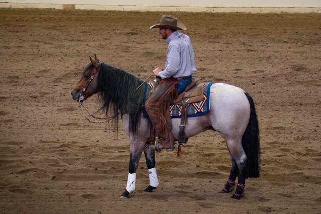 cheval western