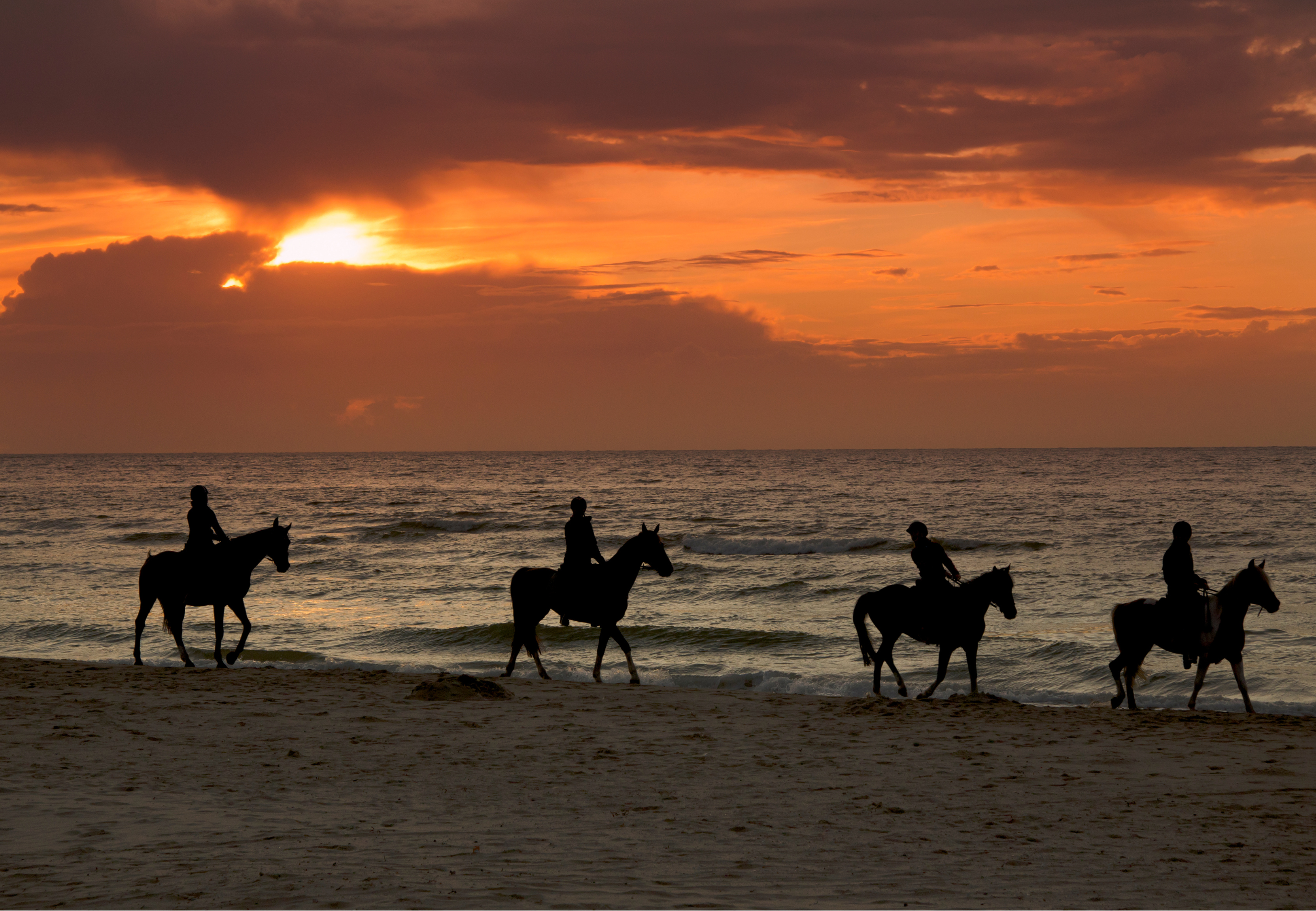 cheval plage été