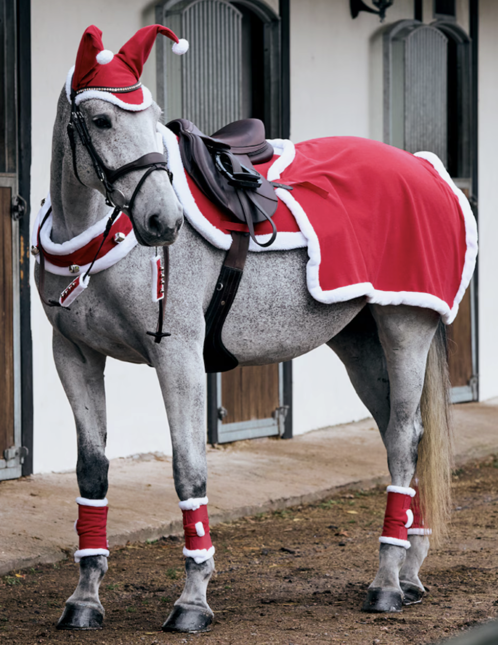 cheval déguisement Noel