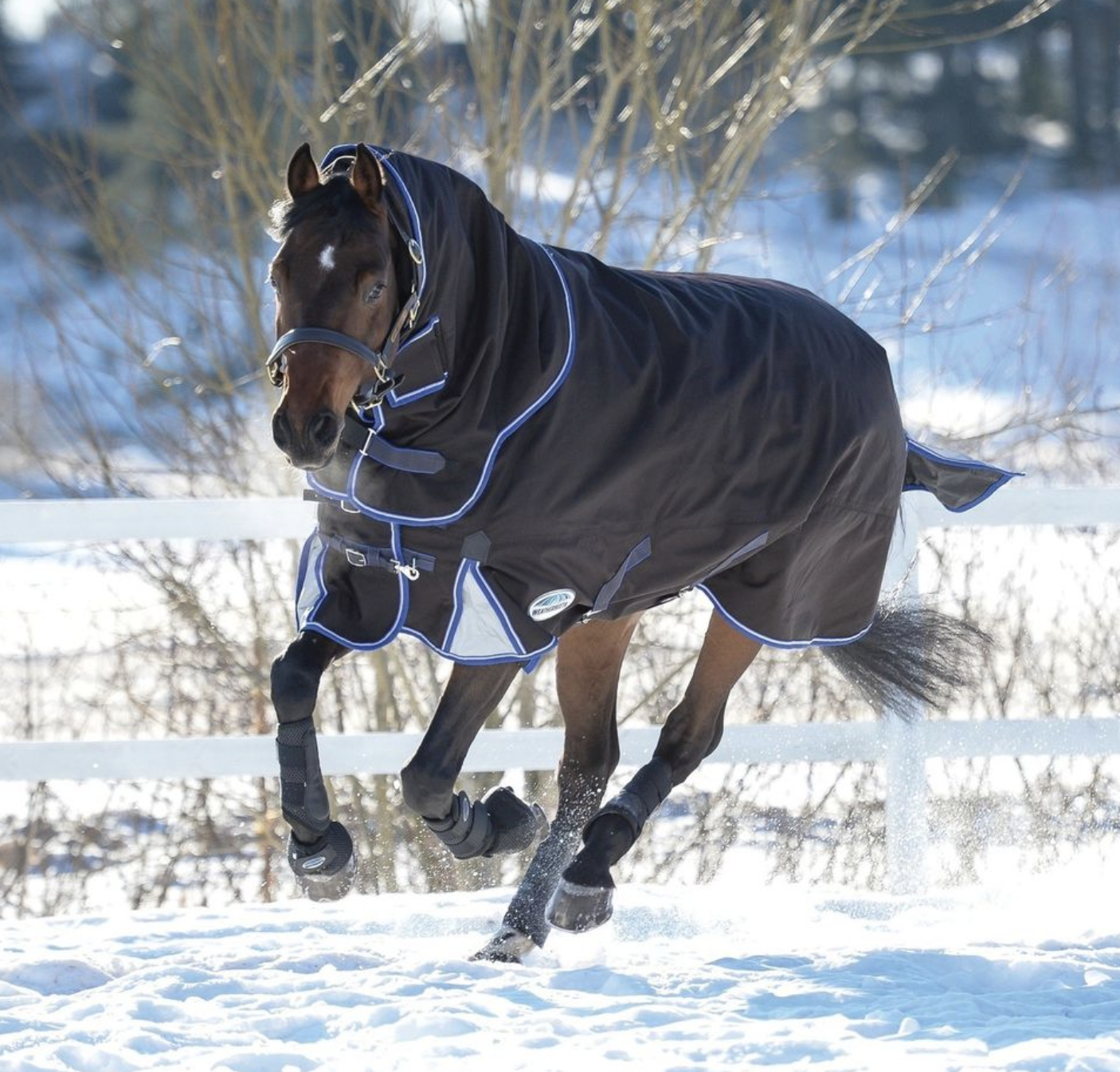 couverture-cheval-neige