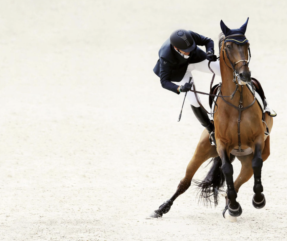 chute cavalier équitation