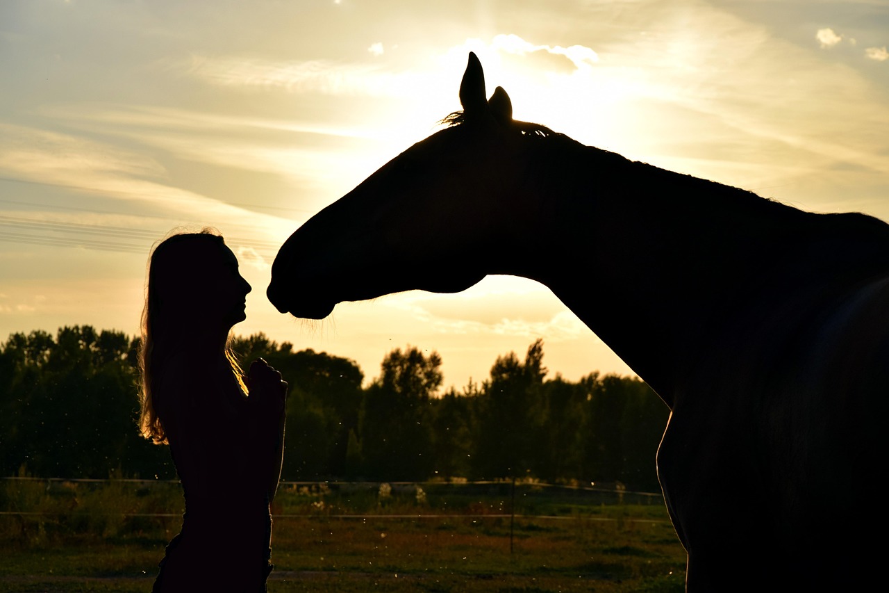 complicité cheval