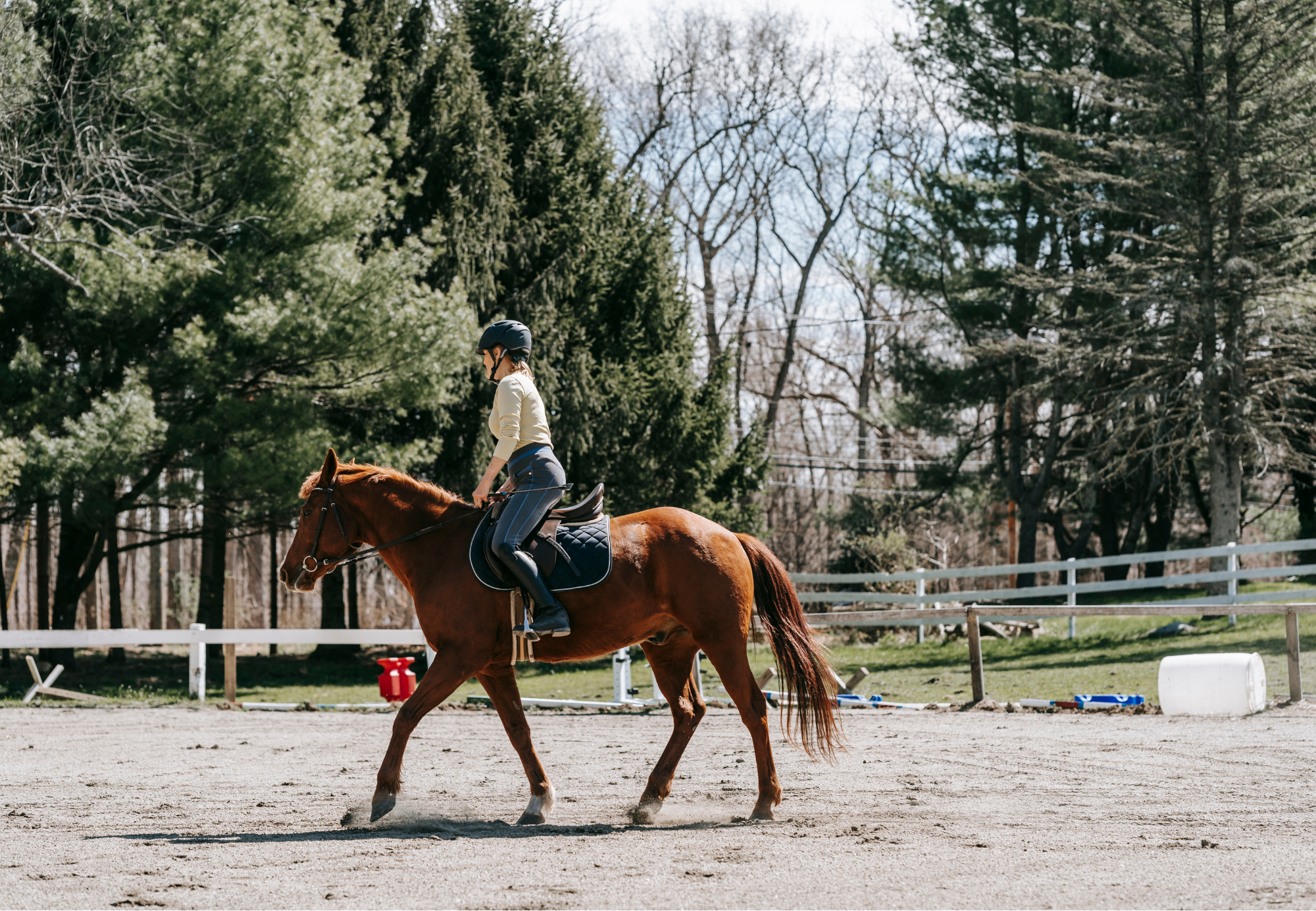 cours équitation