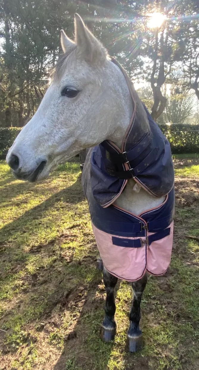 couverture cheval