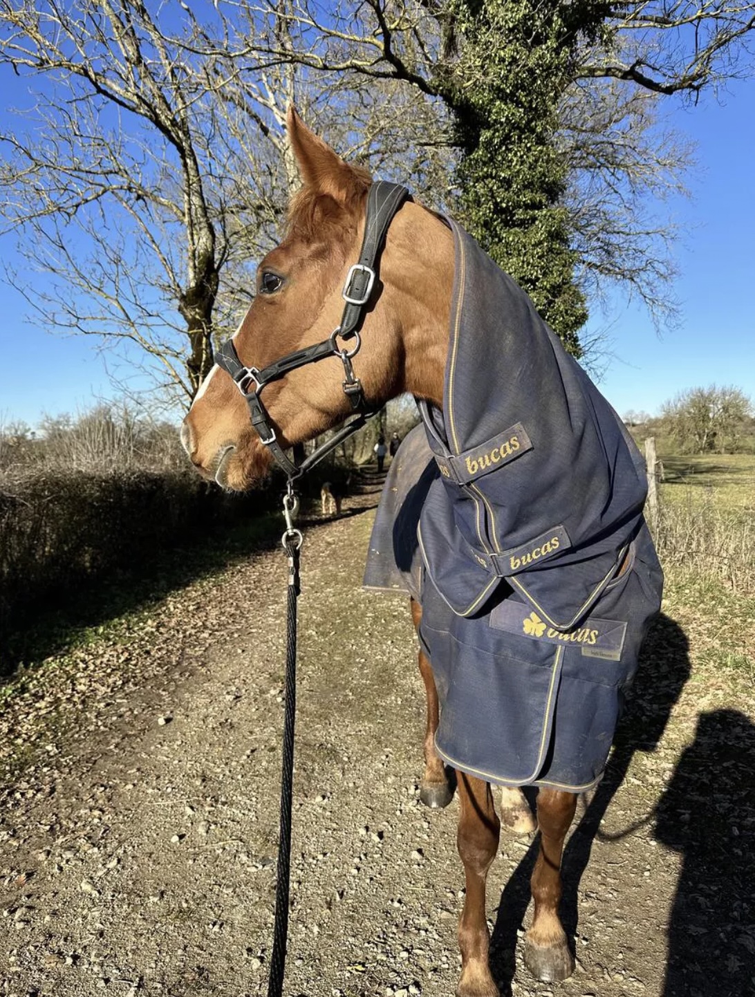 couverture imperméable cheval