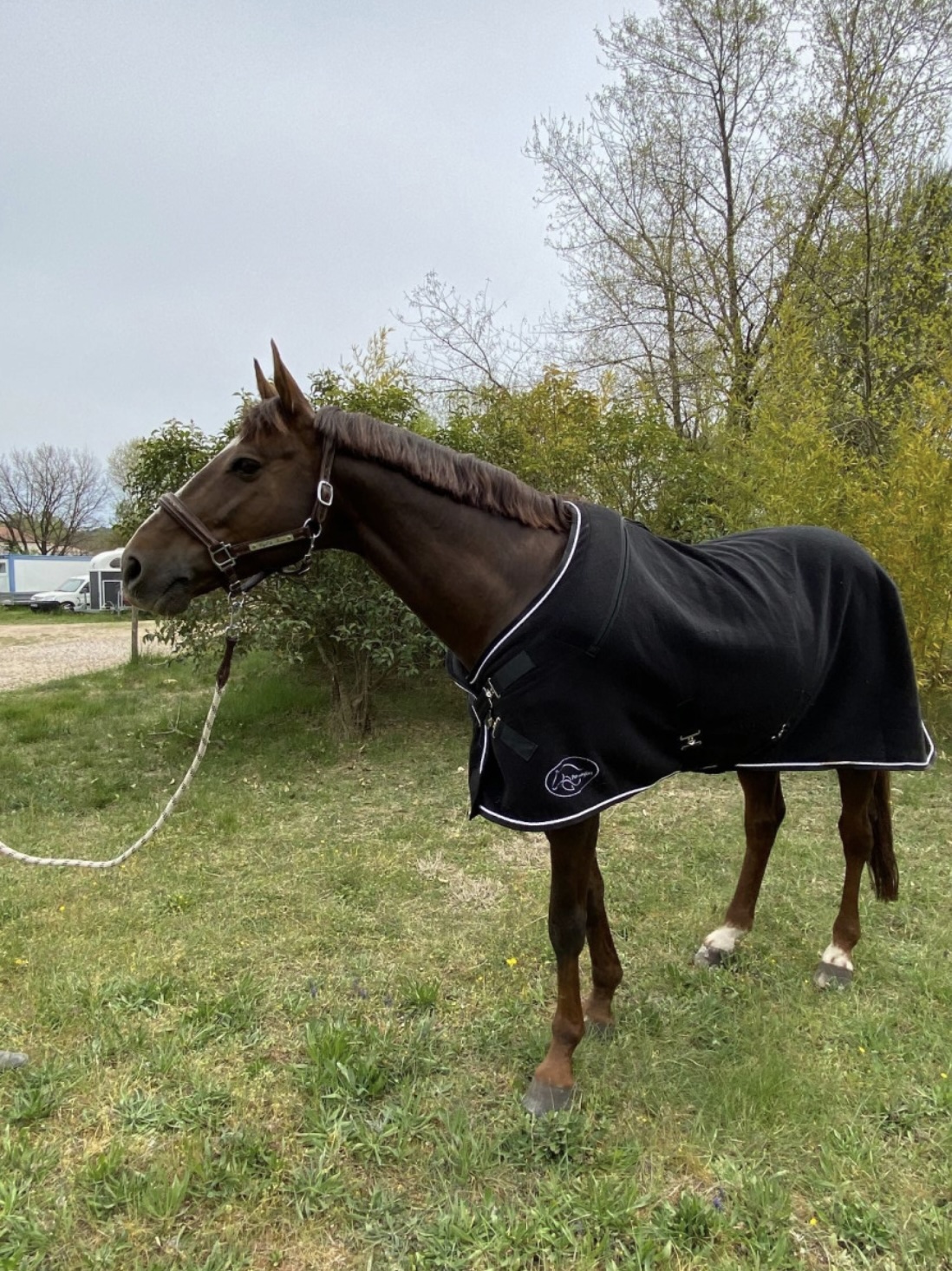 couverture massage cheval