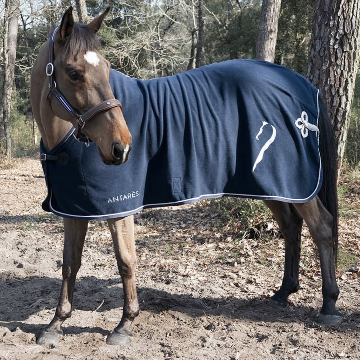 couverture polaire cheval