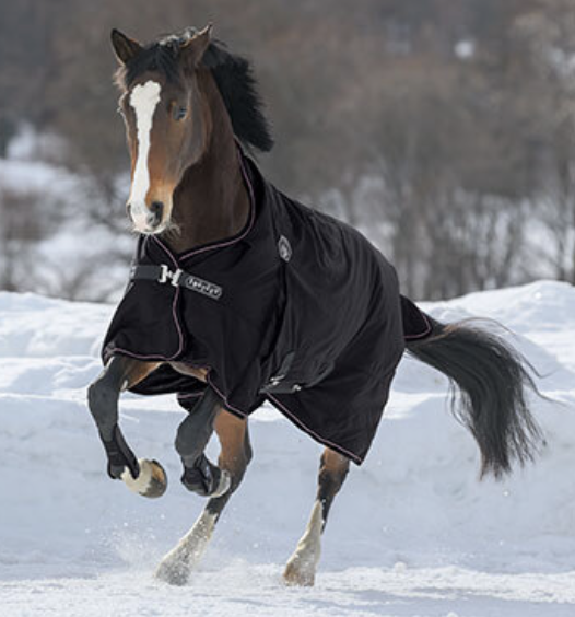 couverture cheval neige