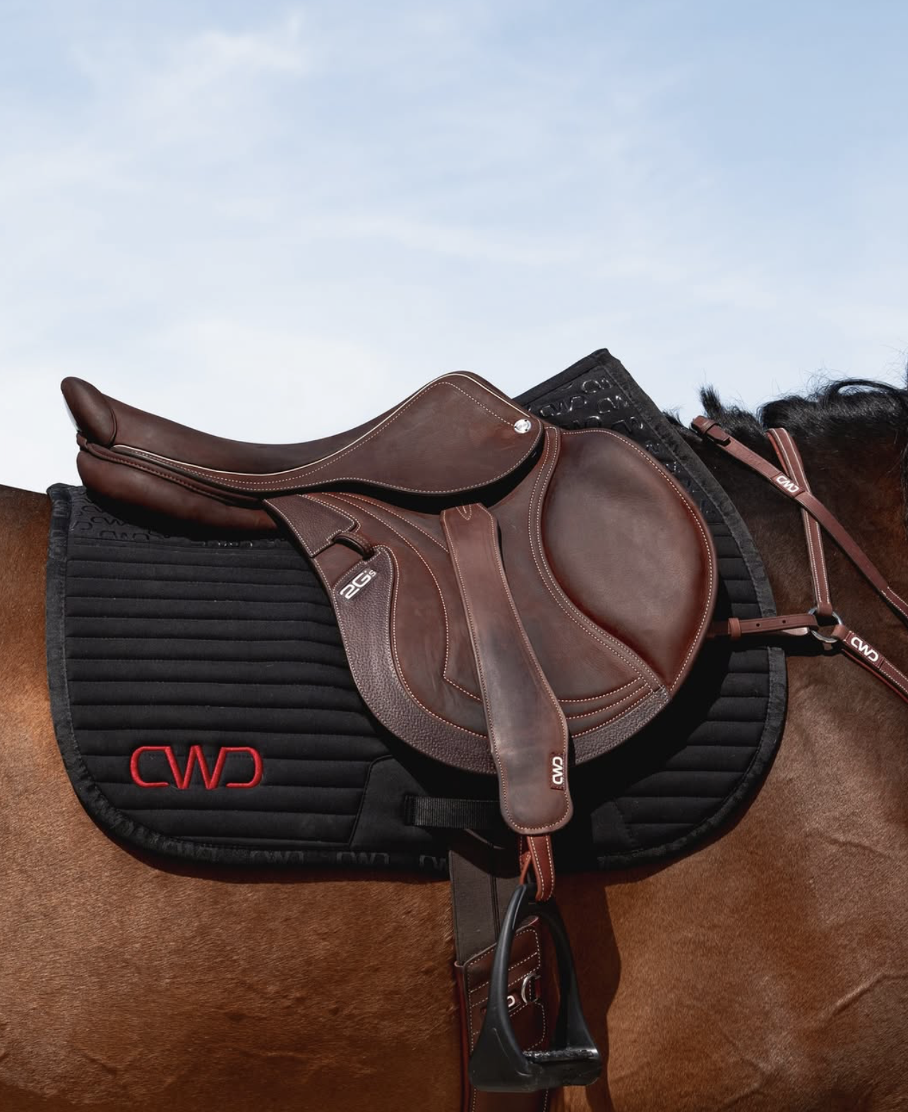 cwd