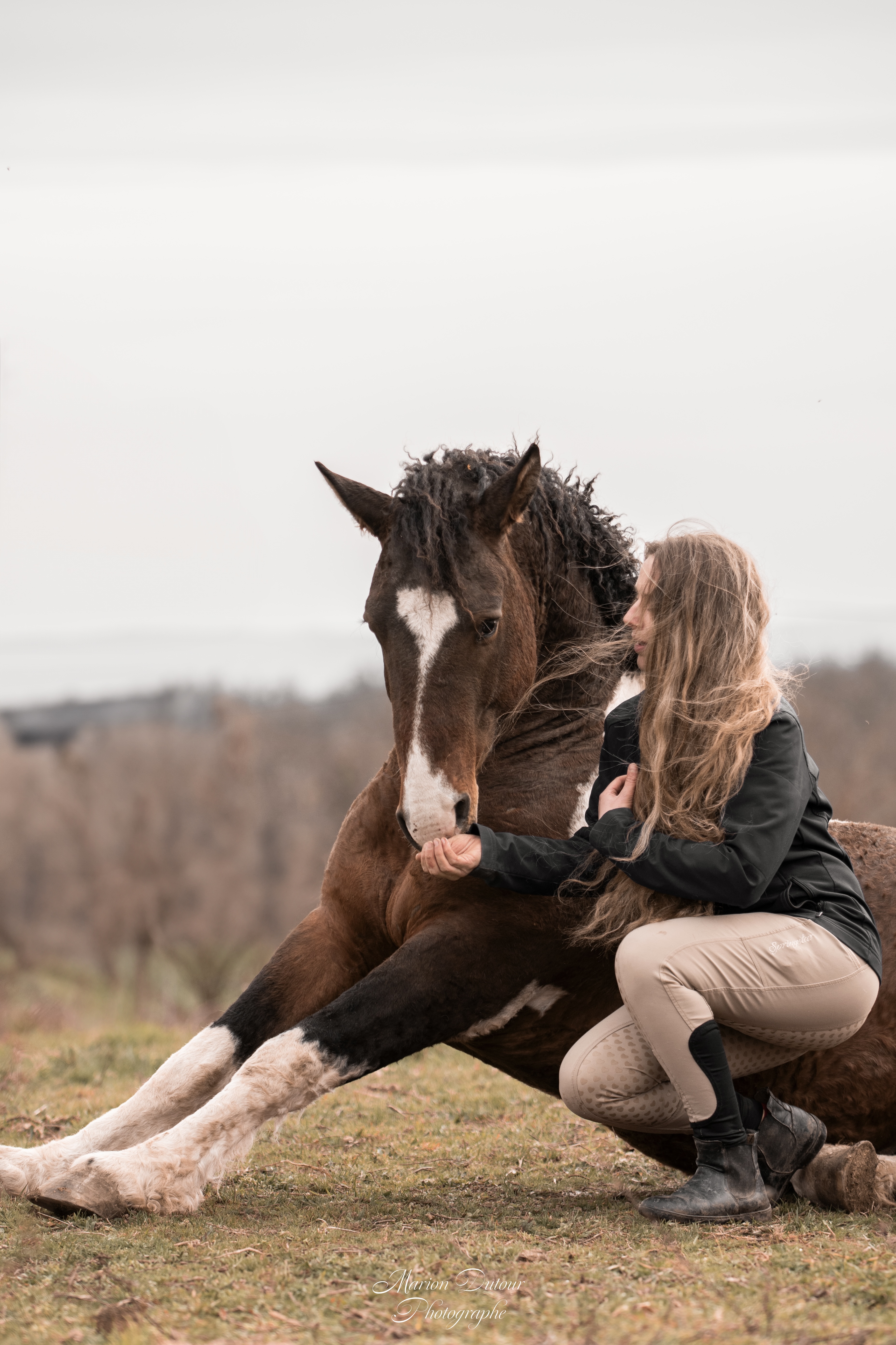 cheval curly