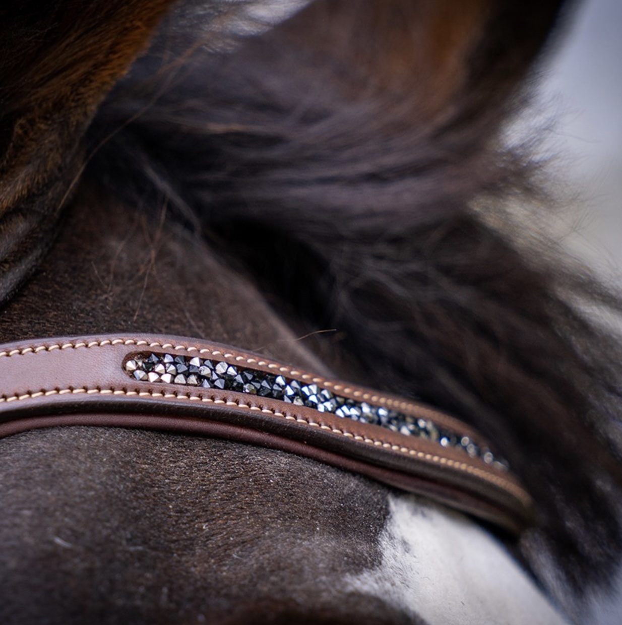 frontal strass marron