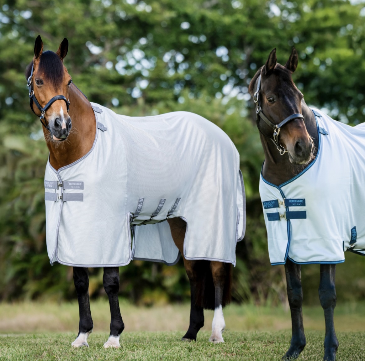 horseware