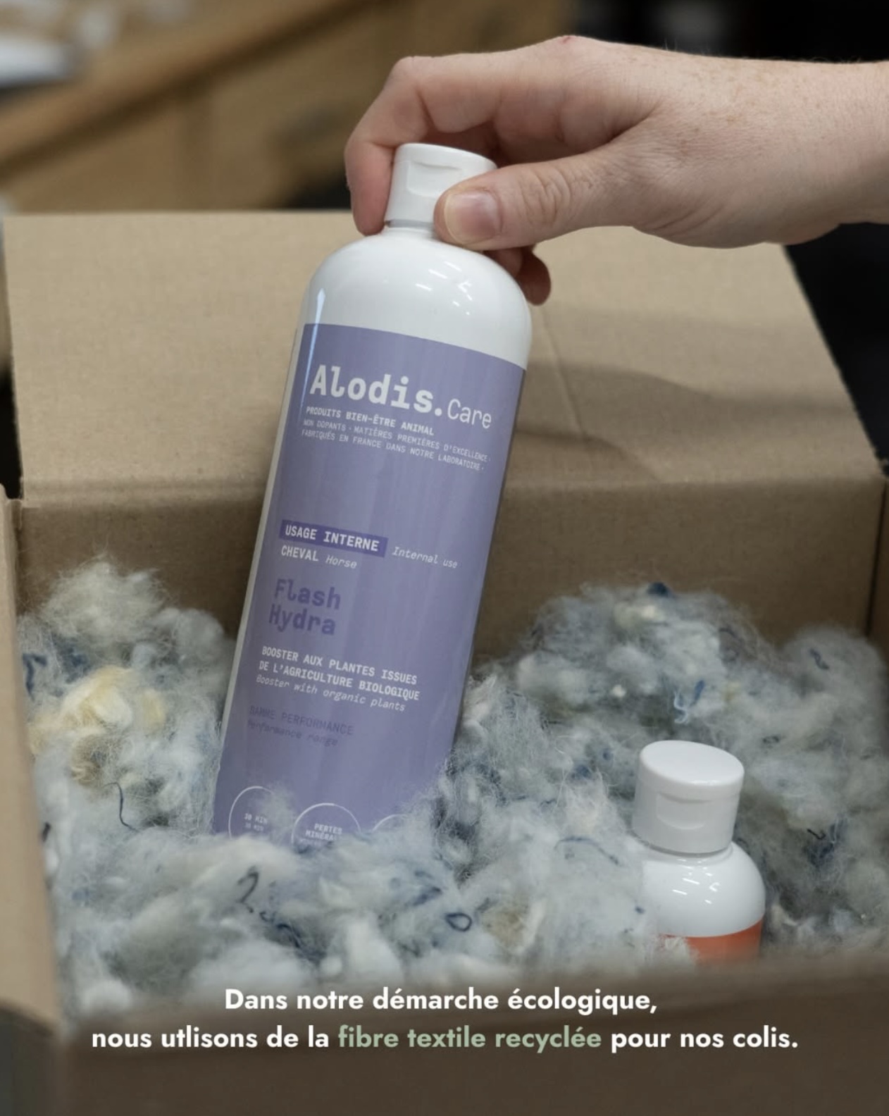 alodis care instagram