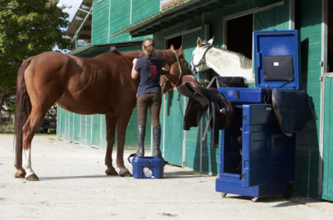 malle équitation padd