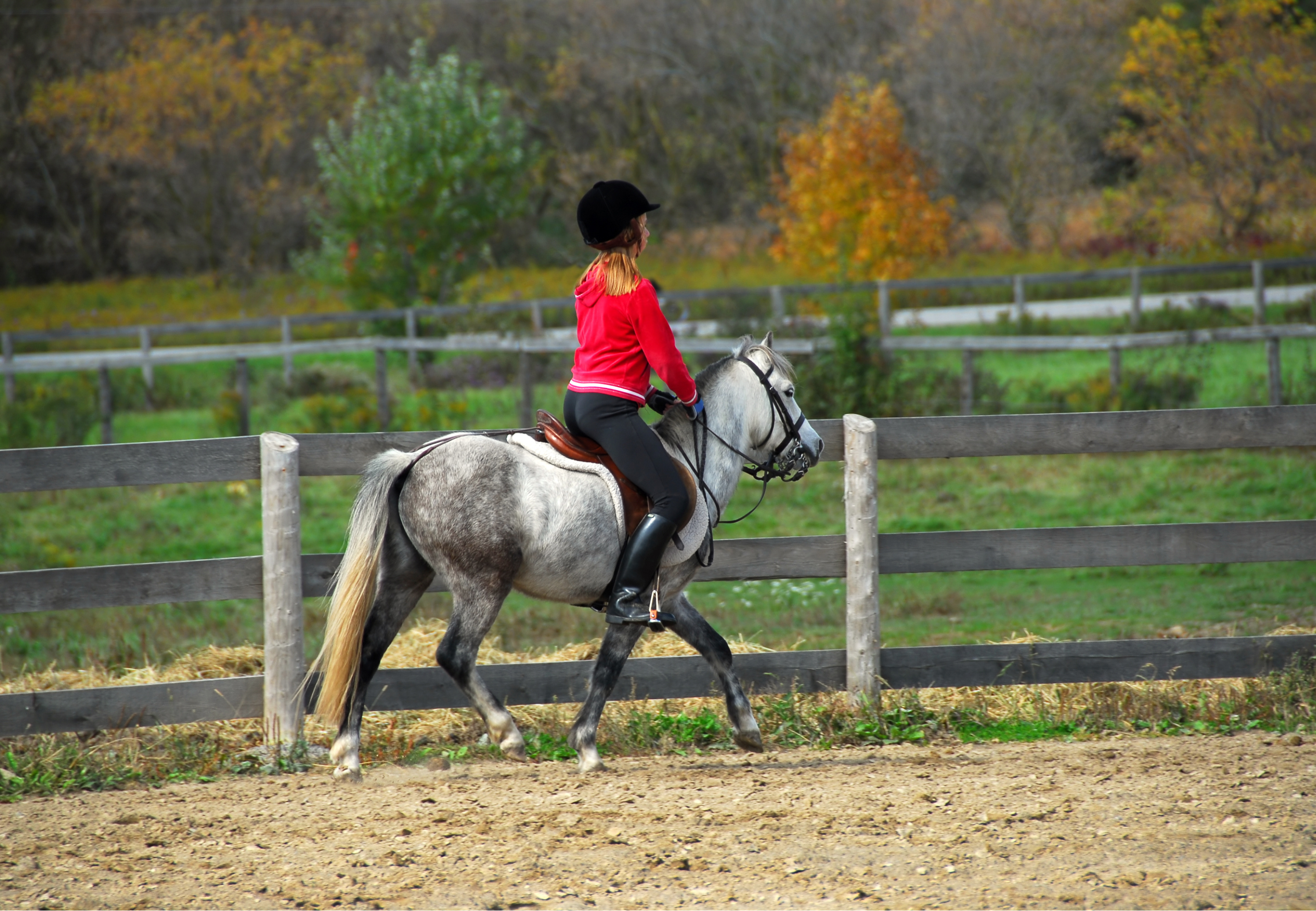 monter poney