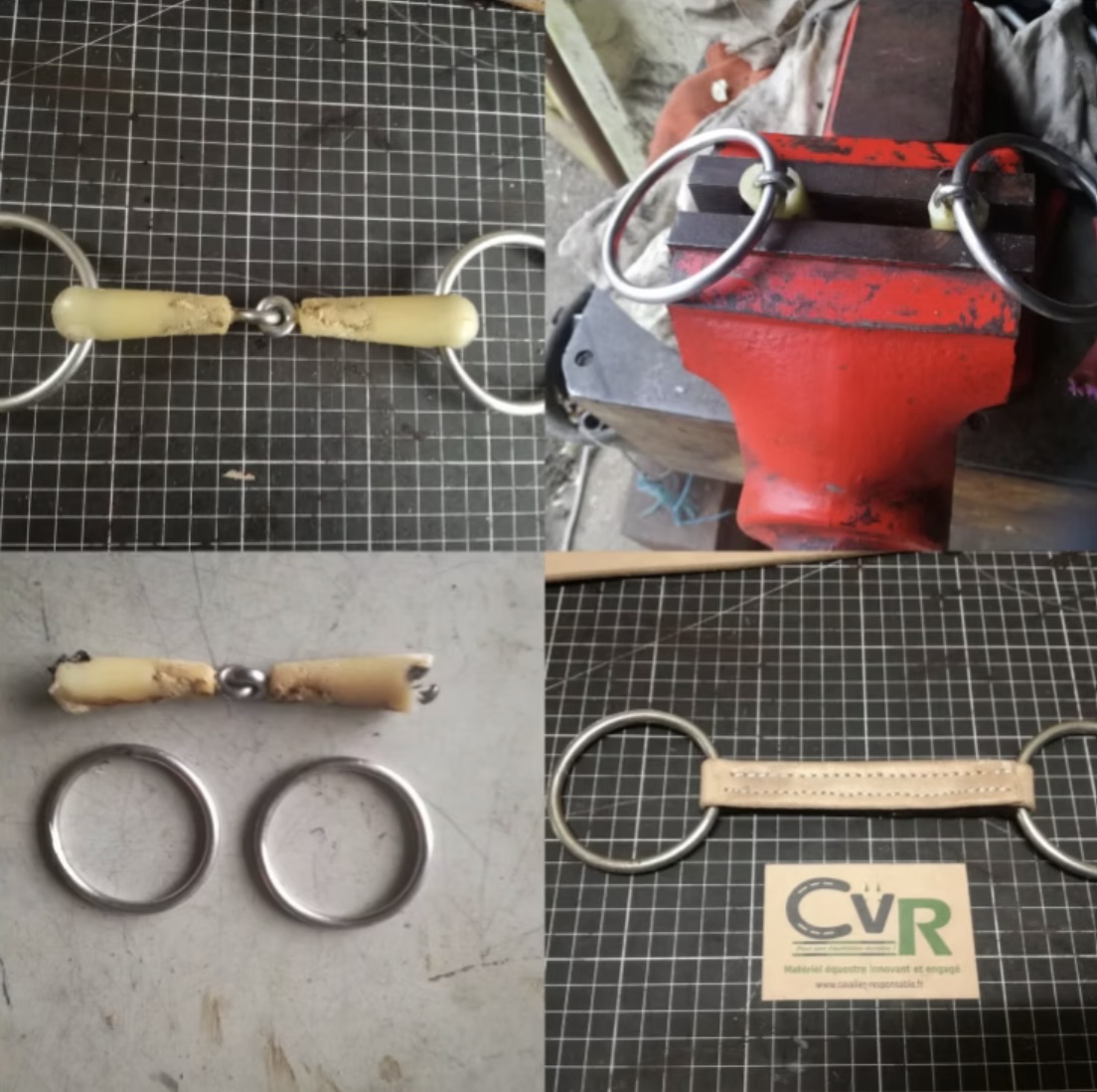 mors cavalier responsable