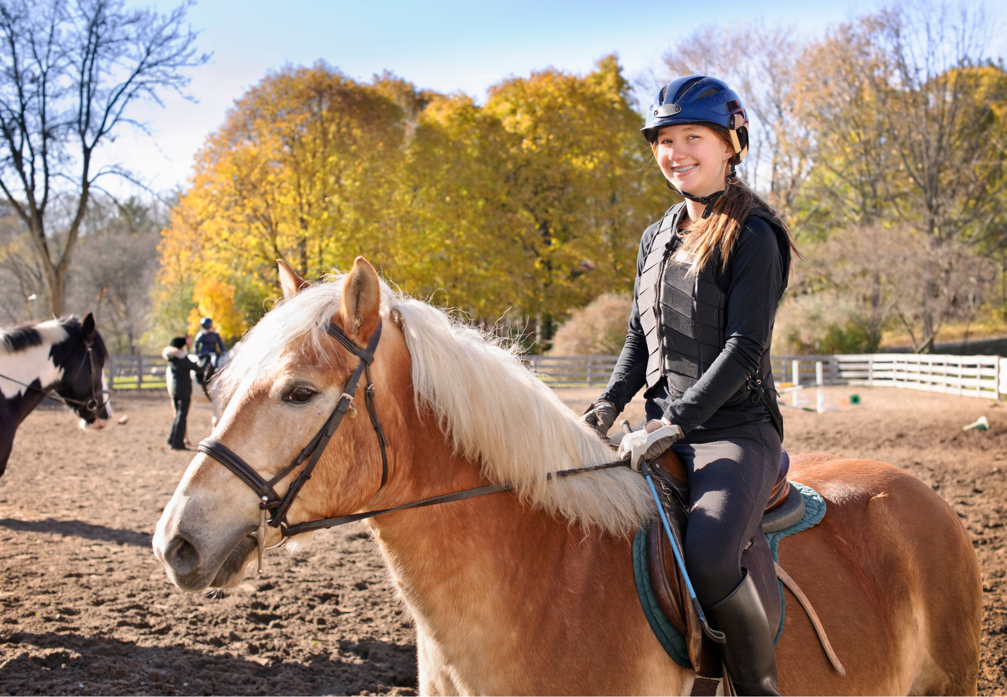 rentrée equitation