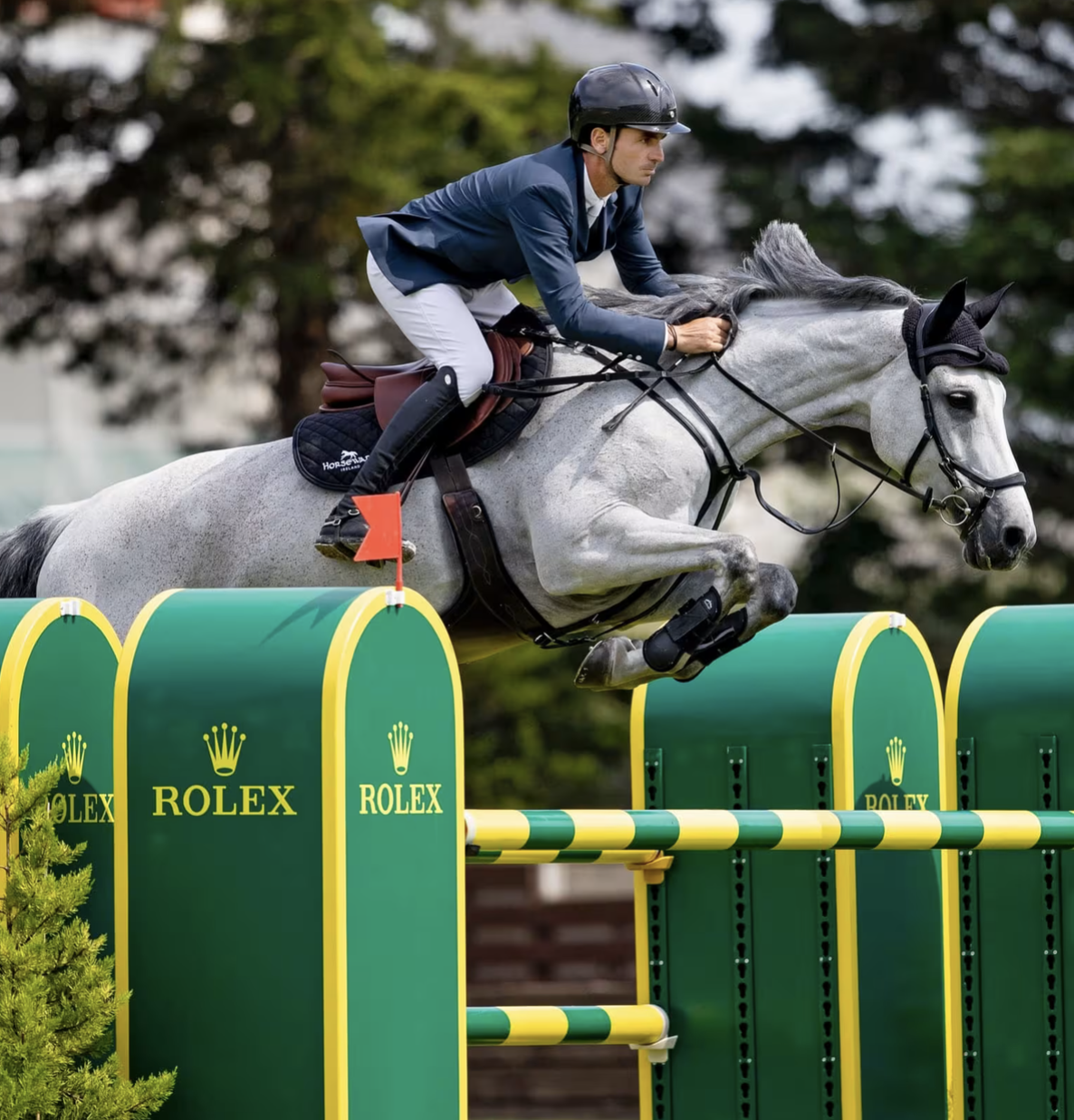 rolex equitation