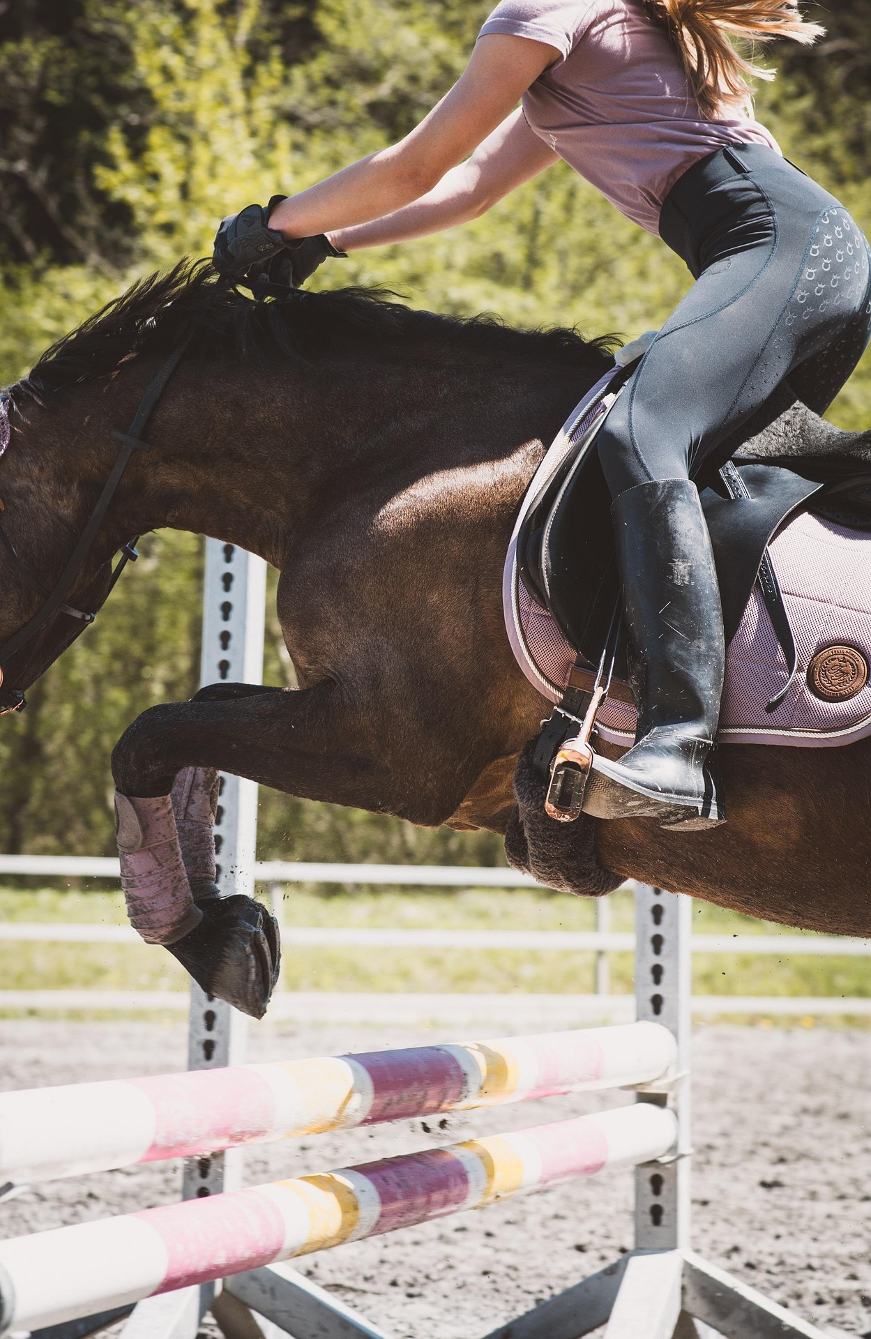 selle obstacle
