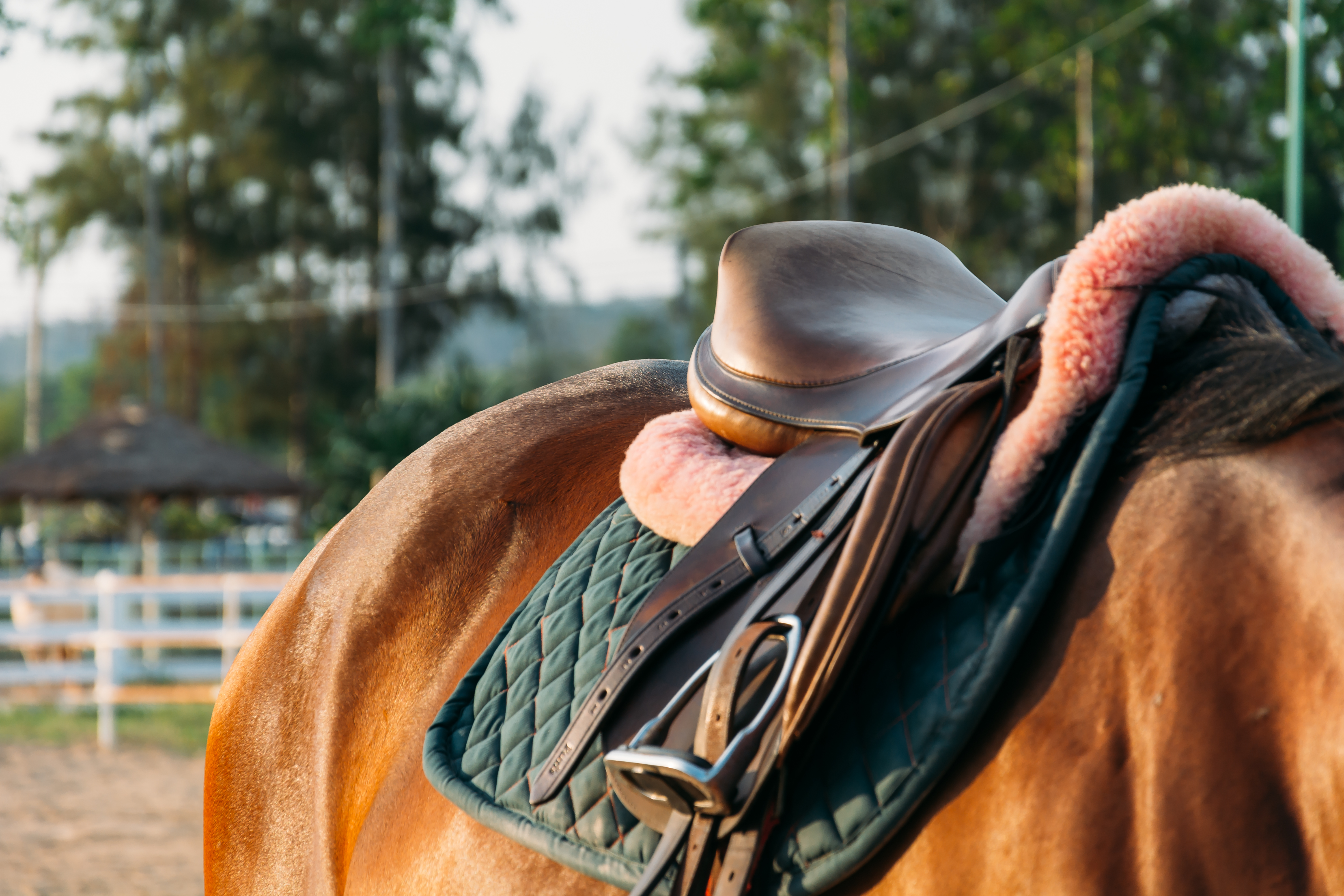selle cheval