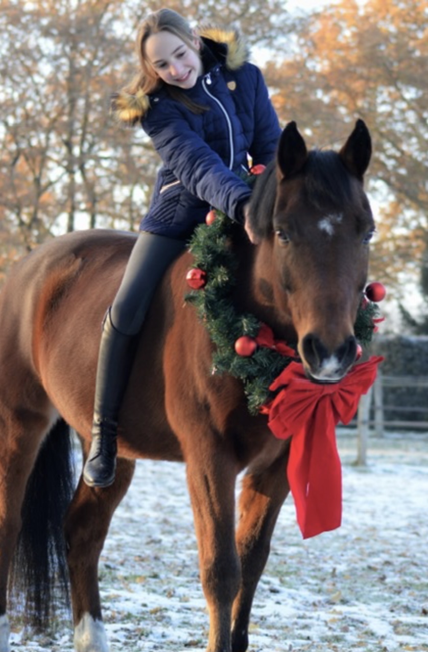 shooting noel cheval