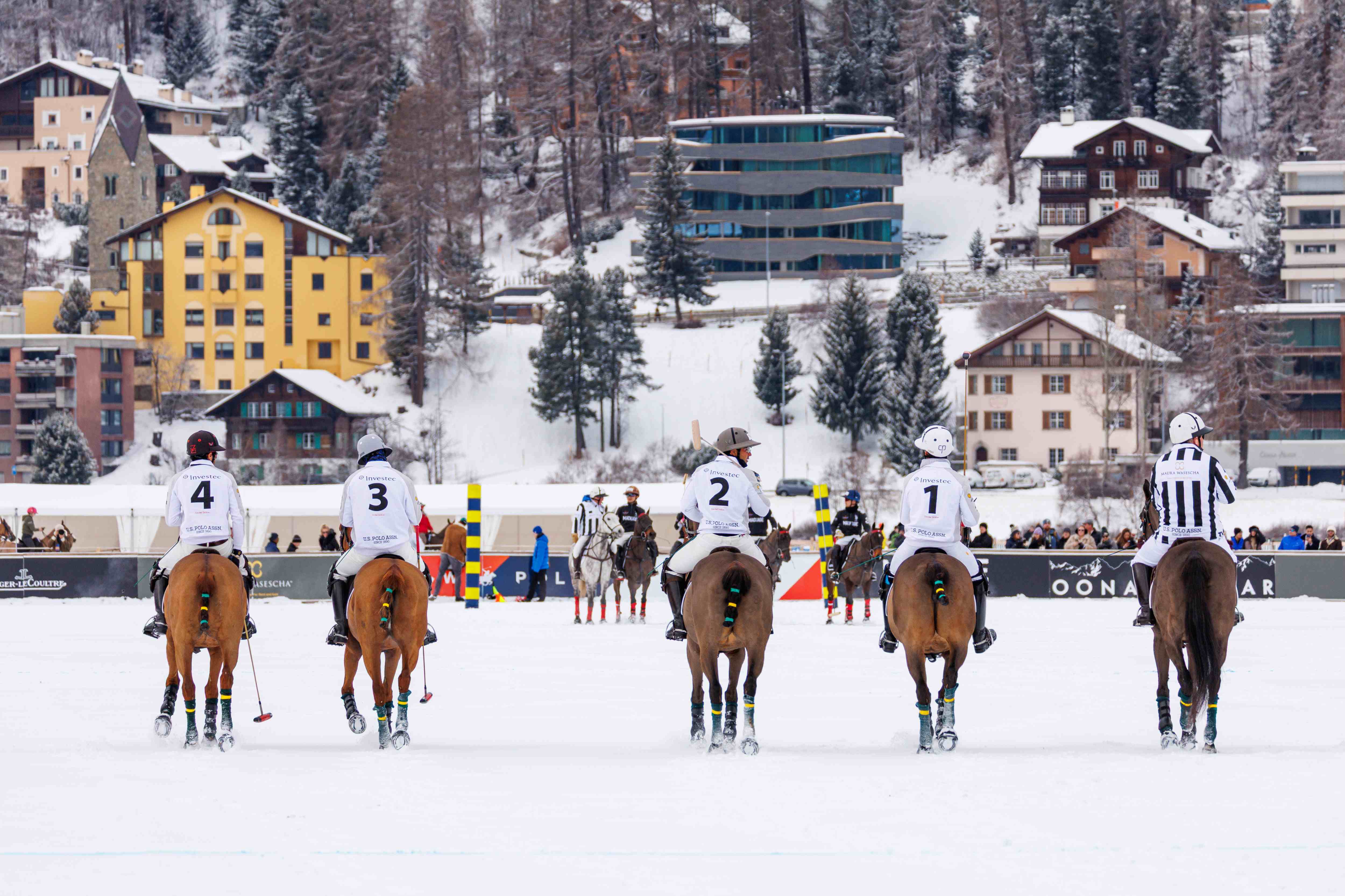 snow polo chevaux