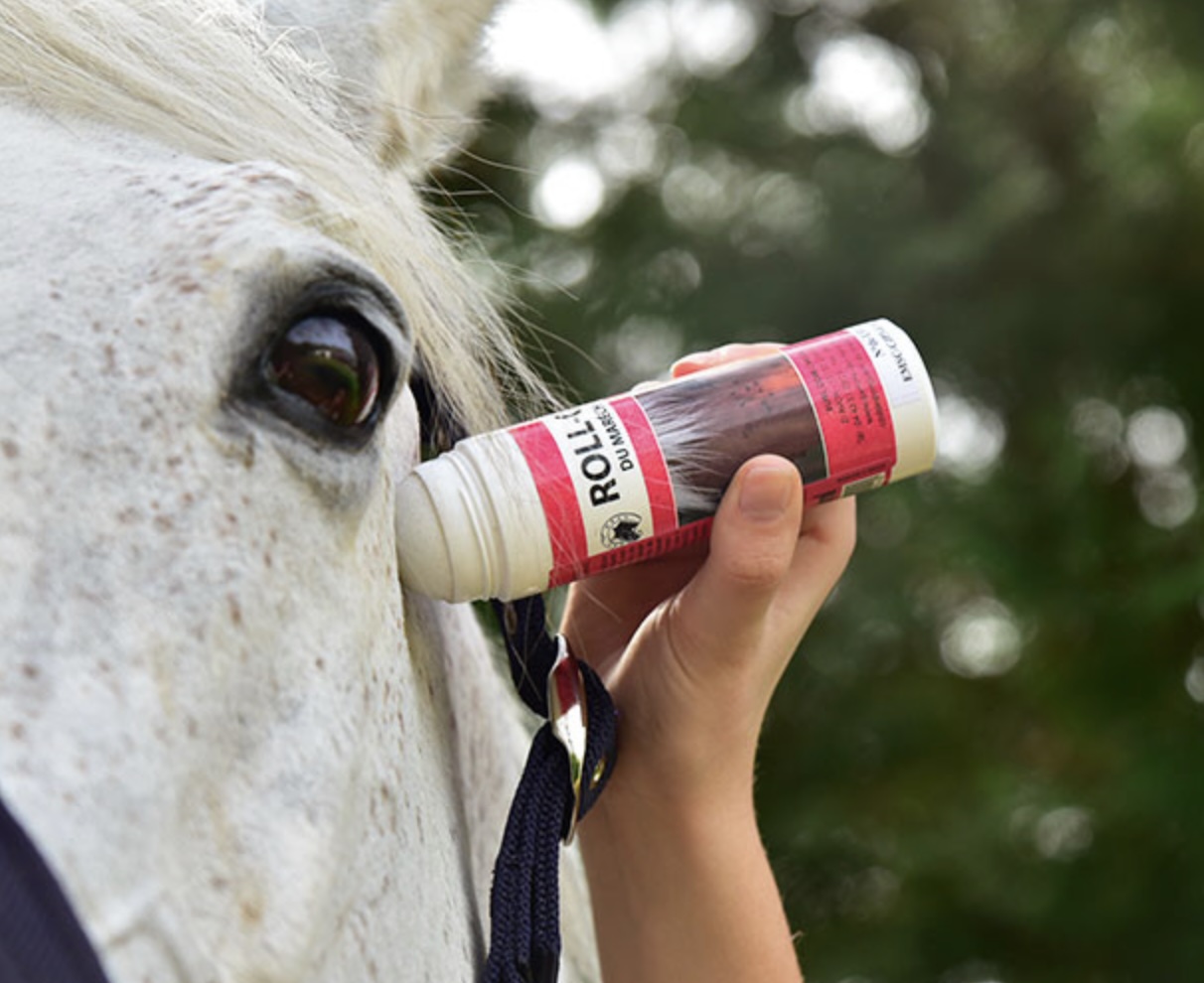 spray anti mouche cheval