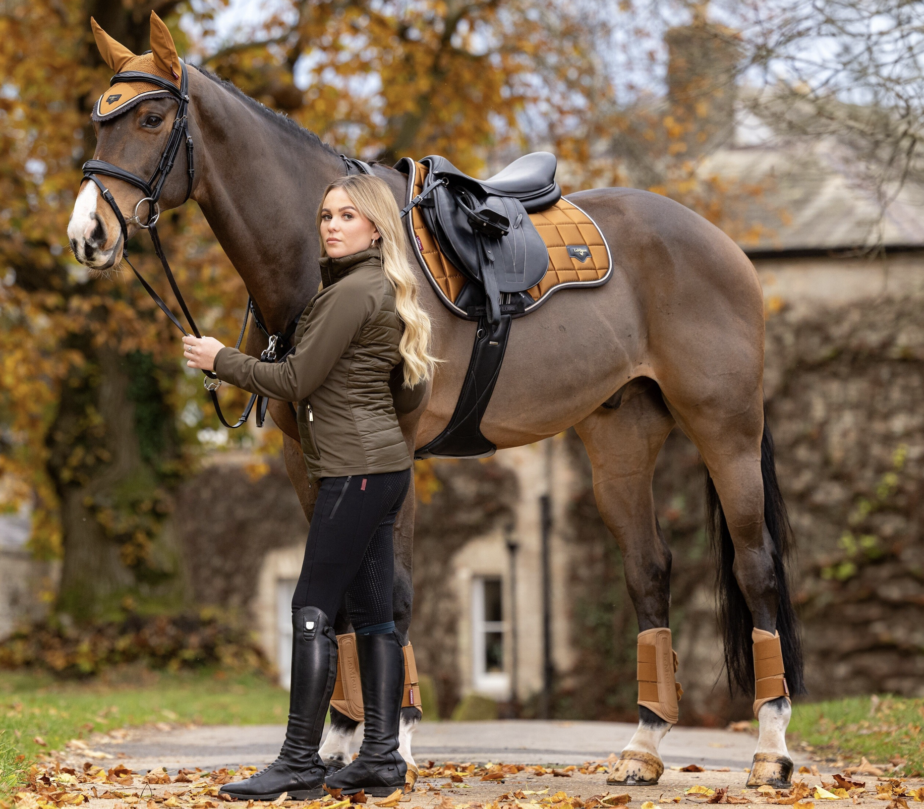 tapis cheval automne