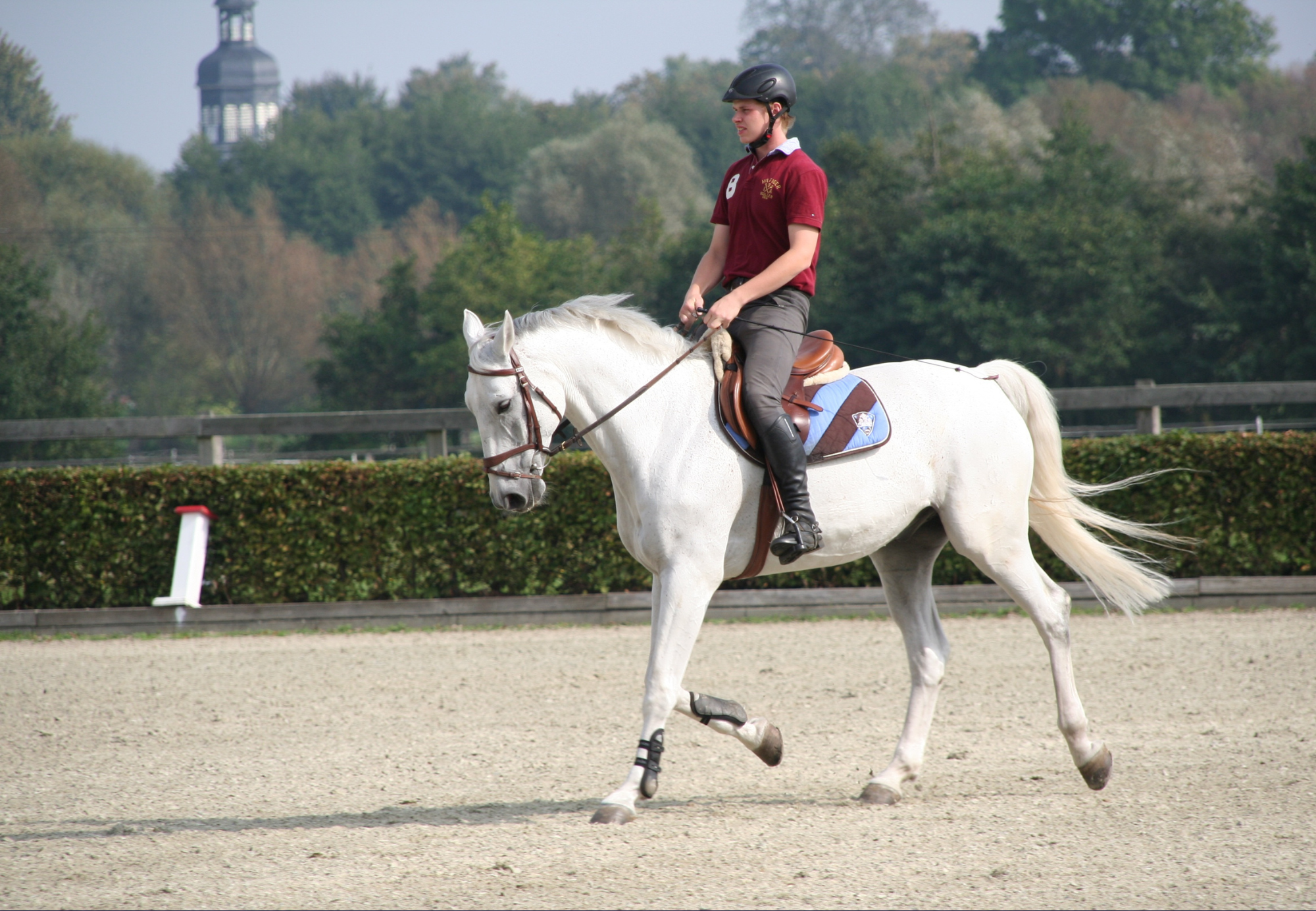 travail cheval