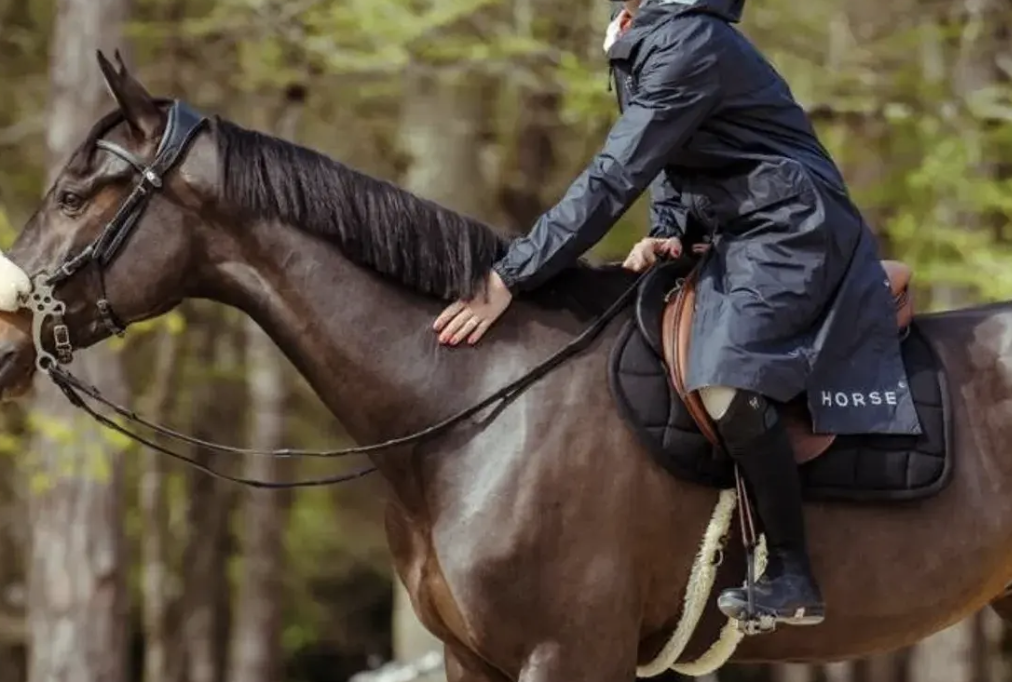 veste impermeable horse pilot