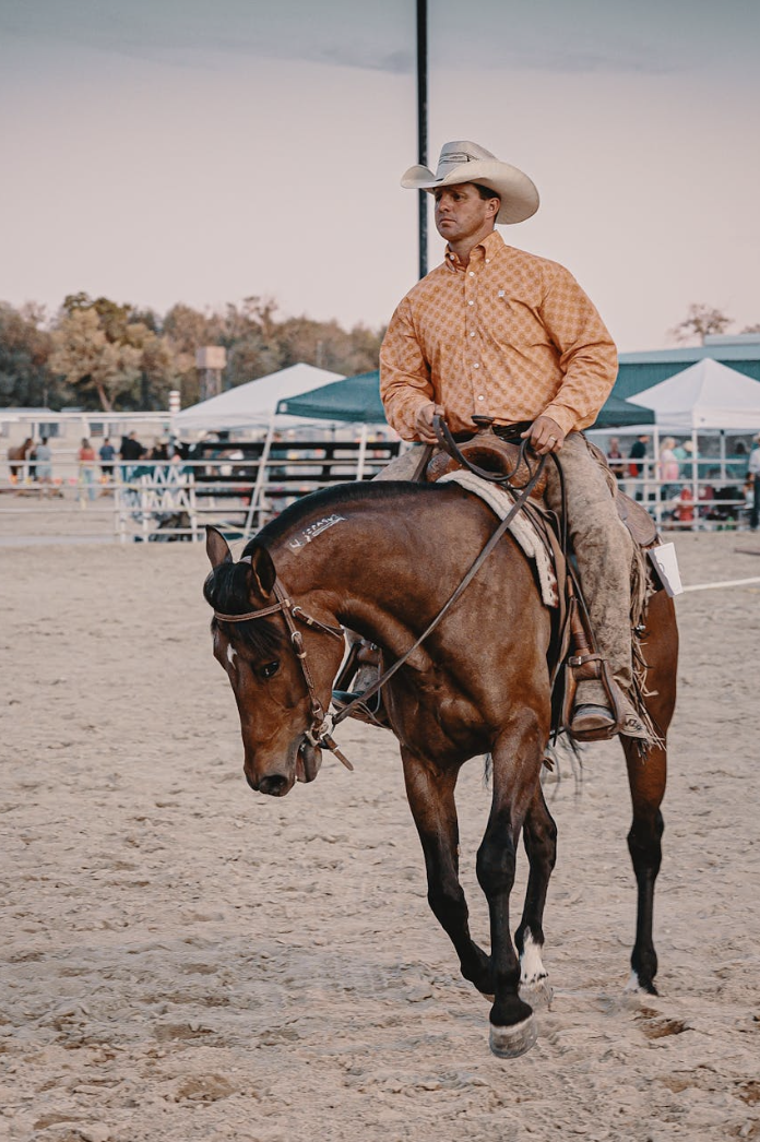 western équitation